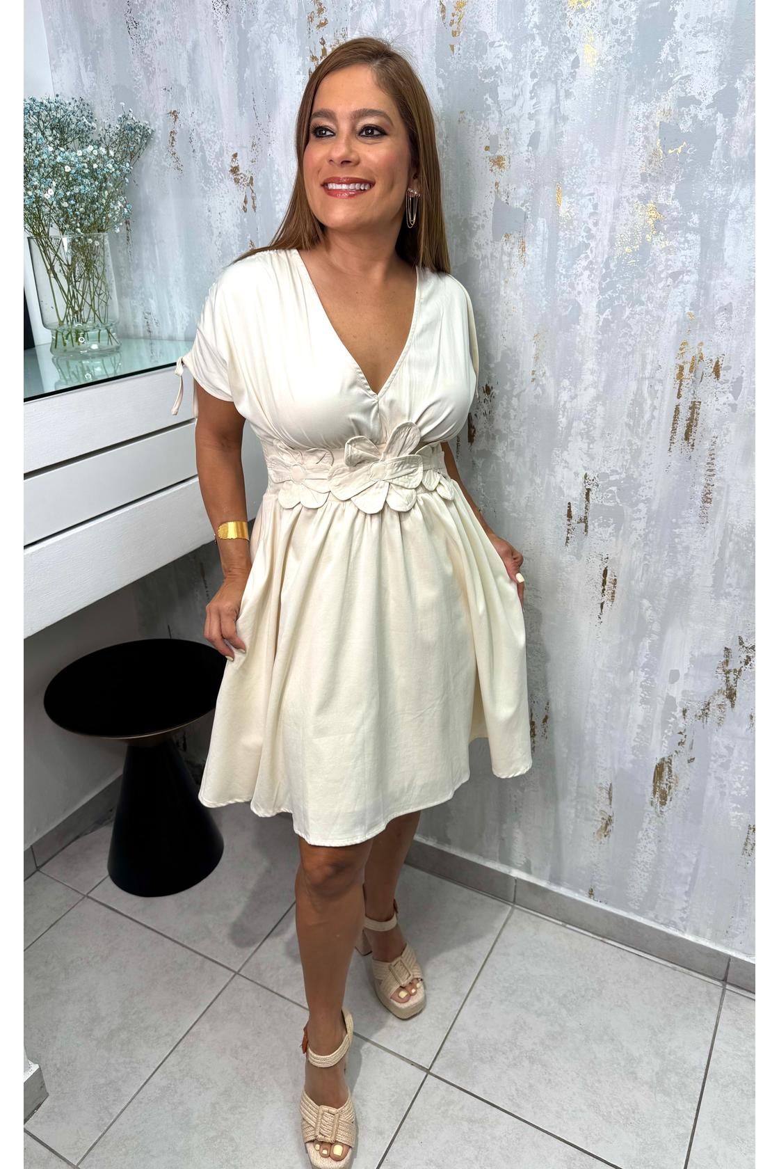 Marina Floral Applique V Neck Mini Dress